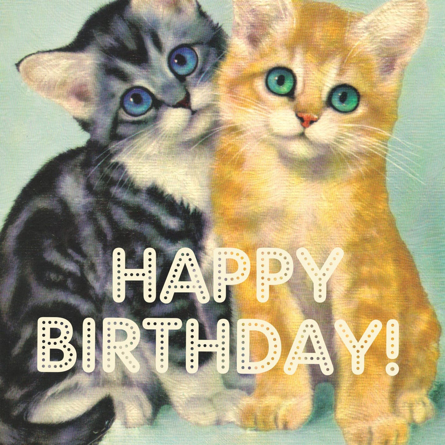 Greeting Card - Birthday: Asshole Cats