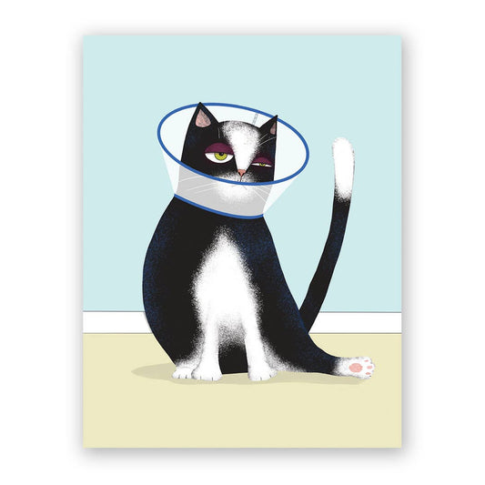 Greeting Card - Get Well: Cat With Cone Of Shame