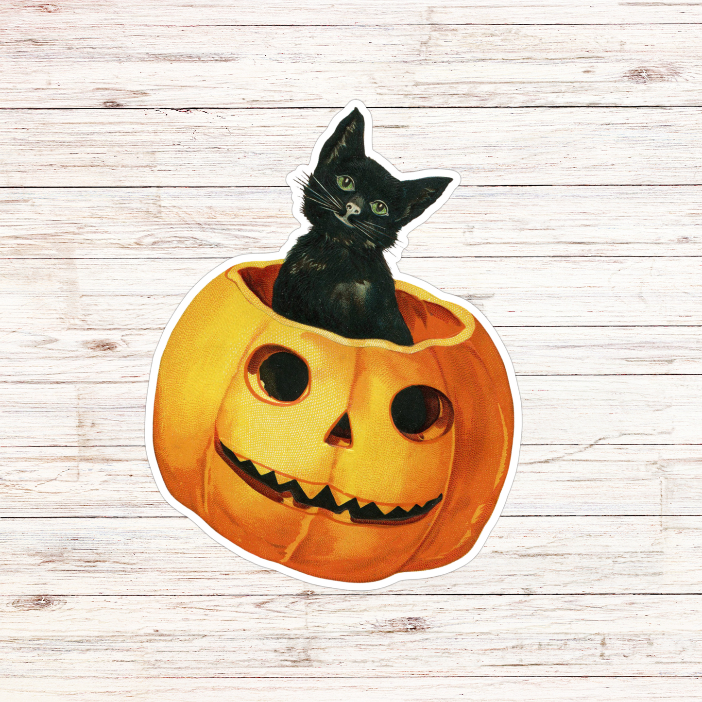 Sticker-Halloween-01: Black Cat Pumpkin