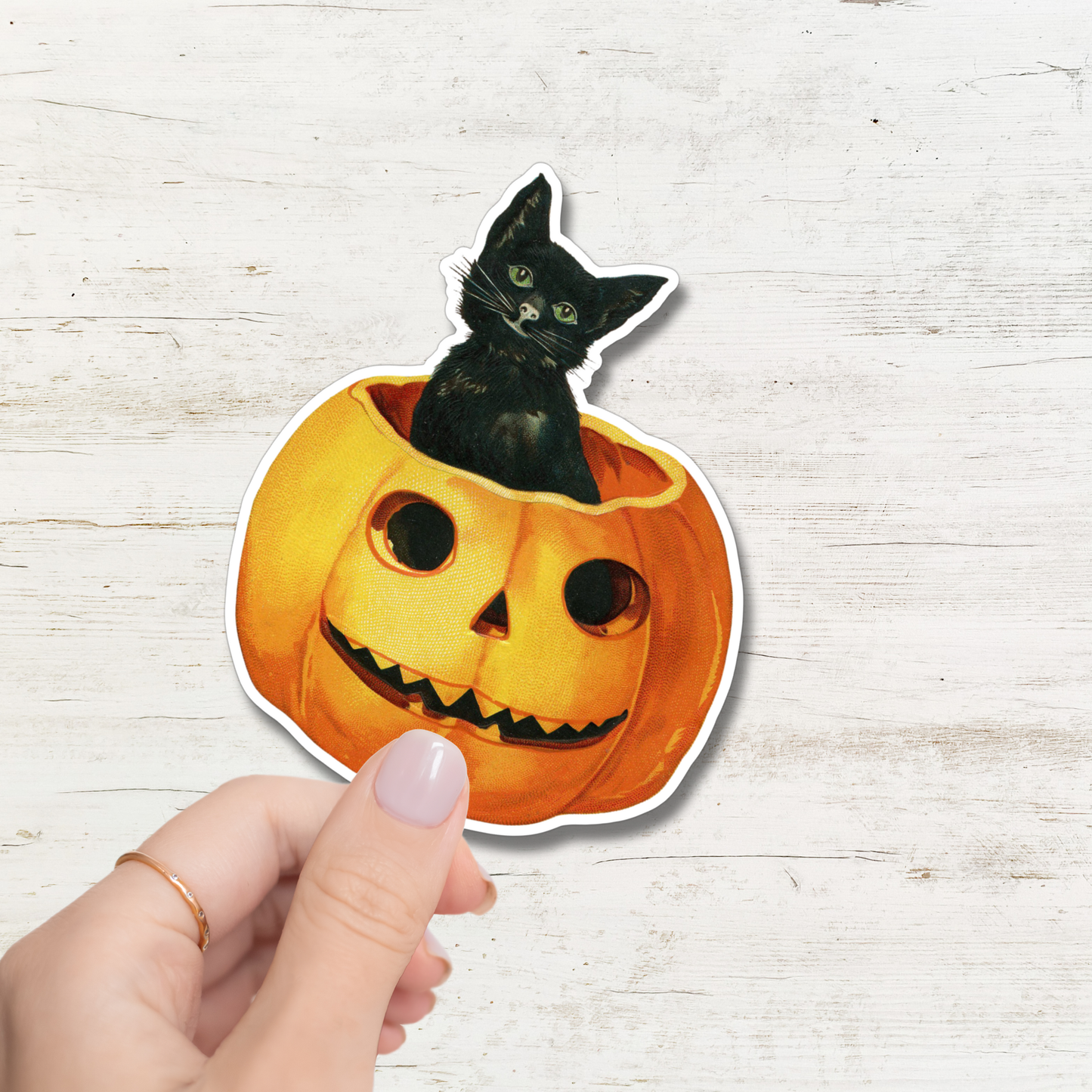 Sticker-Halloween-01: Black Cat Pumpkin