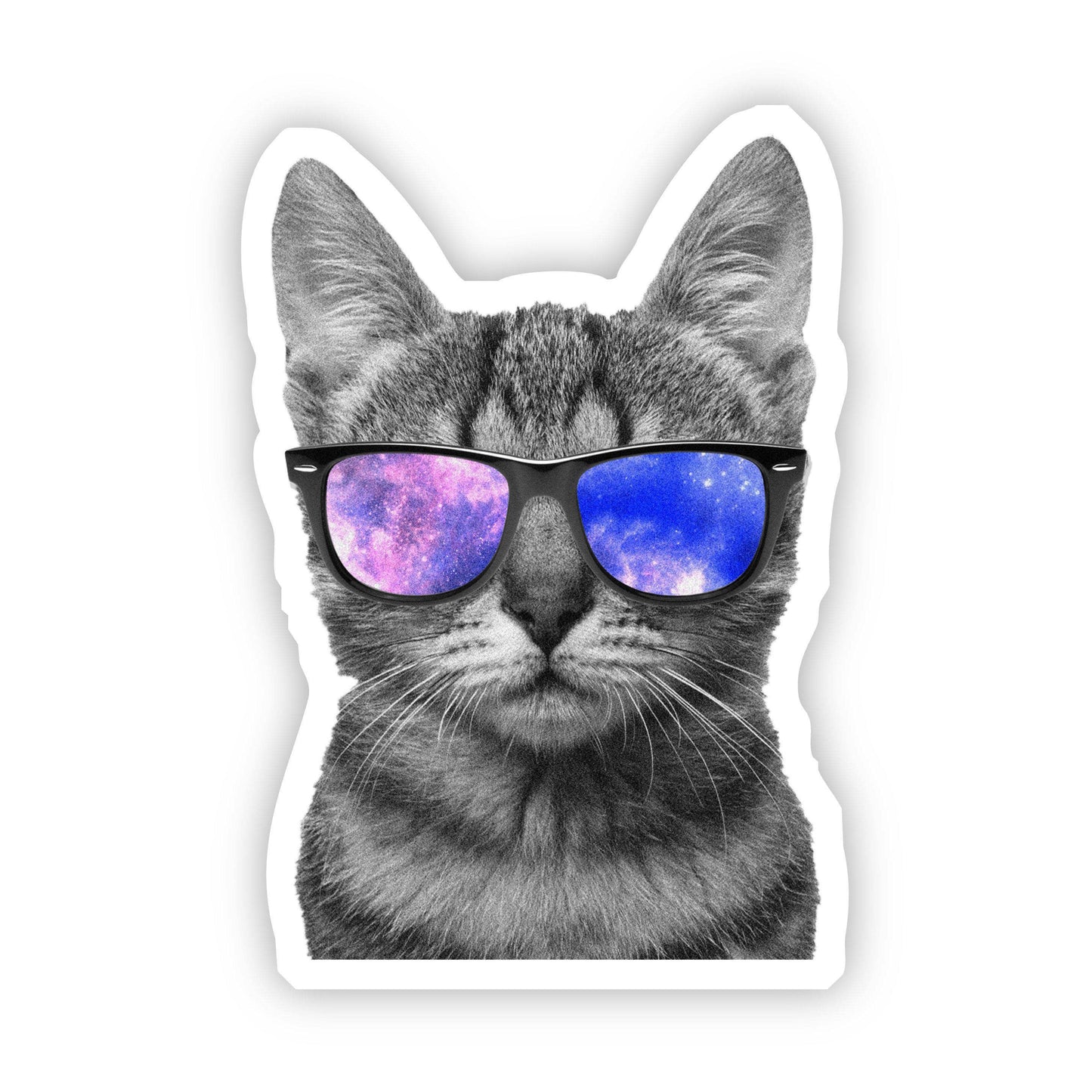 Sticker-Cat-14: Cat Sunglasses